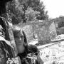 Elizabeth Buck Photo 13