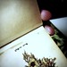 Dawn Dering Photo 4