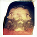 Dean Beard Photo 13