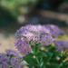 Flor Garcia Photo 12