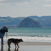 Steve Corey Photo 34
