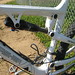 Randall Roscoe Photo 5