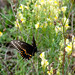 Paul Broderick Photo 17