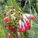 Erica Heath Photo 15