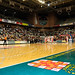 Daniel Basile Photo 30