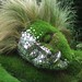 Sue Hill Photo 24