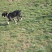 Anna Bailey Photo 14