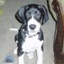 Susan Crain Photo 37