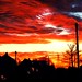 Mark Livingstone Photo 9