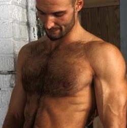 Vincent Greco Photo 13