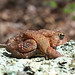 Heather Nagel Photo 15