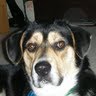 Debra Heuer Photo 9