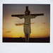 Chris Vogel Photo 29