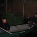 Janice Massey Photo 7