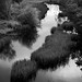 Ted Shearer Photo 10