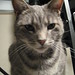 Leroy Gray Photo 8