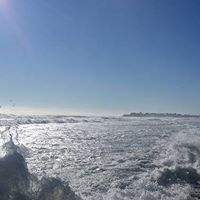 Diane Sawicki Photo 6