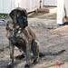 April Grady Photo 14