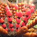 Candy Tang Photo 29
