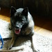Eartha Grant Photo 2