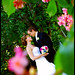 Anna Wheaton Photo 14
