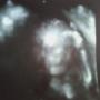 Brandy Curtis Photo 19
