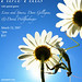 Sharon Rule Photo 12