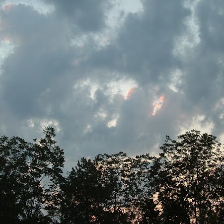 Elizabeth Harrell Photo 13