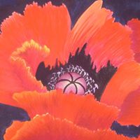 Lynda Freeman Photo 29