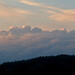 Tammy Meadows Photo 18