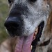 Gwen Conner Photo 14