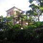 David Battle Photo 25