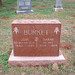Debora Scott Photo 12