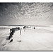Don Cartwright Photo 22