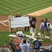 Jay Levine Photo 21