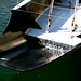 Dennis Conner Photo 39