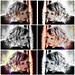 Michelle Evens Photo 7