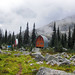 Wendy Meadows Photo 9