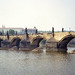 John Cortright Photo 13