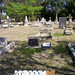 Charles Plunkett Photo 22