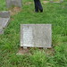 James Harding Photo 35