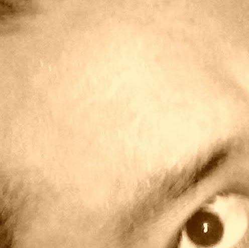 Rene Alcocer Photo 3