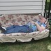 Wayne Lutz Photo 19