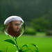 Muhammad Mian Photo 10
