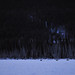 Dawn Wolf Photo 17