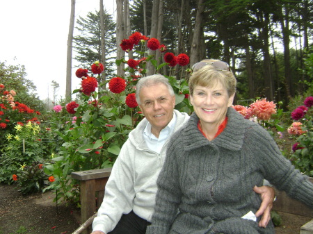 Jeanne Cook Photo 31