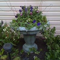 Ann Isaacson Photo 2