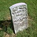 William Wise Photo 28