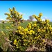 Ruthann Bush Photo 5