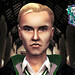 Harry Sim Photo 11